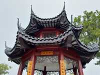 🌳深圳秘境大發現！玉龍公園