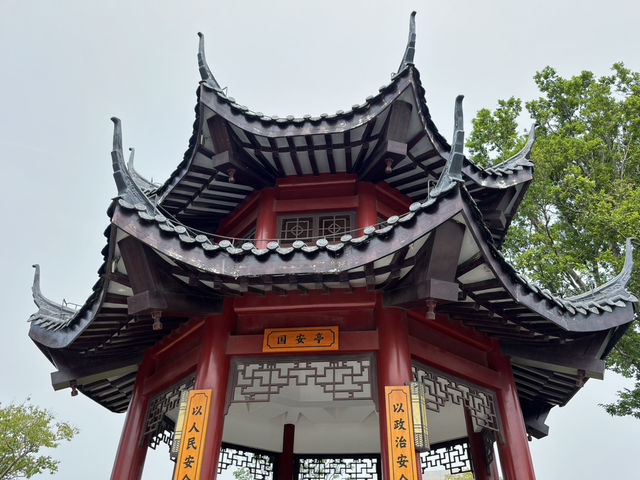 🌳深圳秘境大發現！玉龍公園