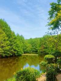 5月南京必衝燕雀湖莫奈花園睡蓮已上線🪷
