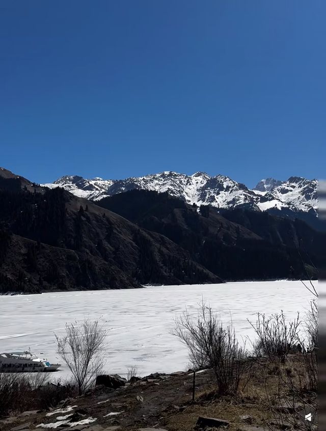天天池