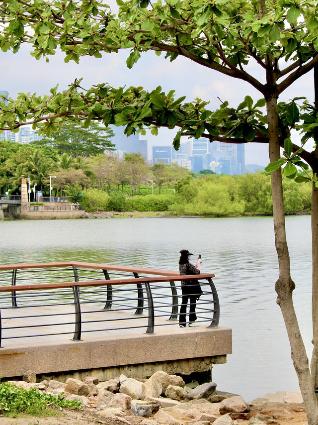 An ideal place for weekend in Shenzhen 