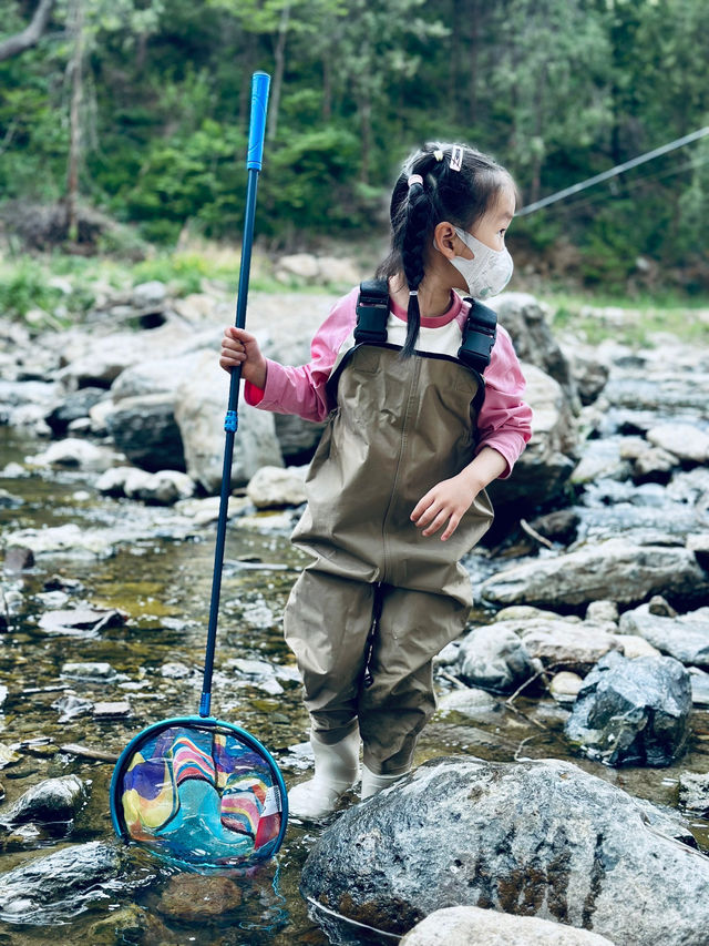 免費玩水撈魚！快樂夏日又又又嚟啦～～