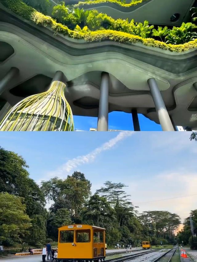 去新加坡⑤次後爆肝整理的保姆級旅遊攻略