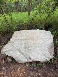 泰國Khao Yai Art Forest交通攻略｜探秘森林藝術秘境