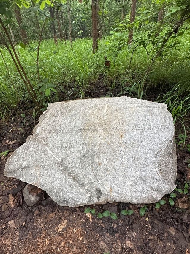 泰國Khao Yai Art Forest交通攻略｜探秘森林藝術秘境