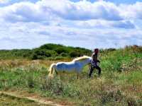 Breathe in the Salty Freedom of Cleethorpes’ Hidden Coast!  