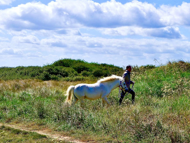 Breathe in the Salty Freedom of Cleethorpes’ Hidden Coast!  