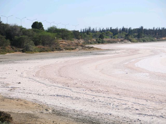 塞浦路斯拉納卡鹽湖