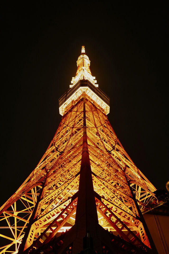 東京12日行程