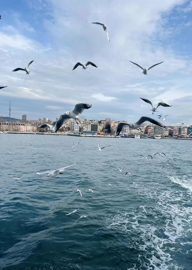 # 嚟躺土耳其夢幻之旅#