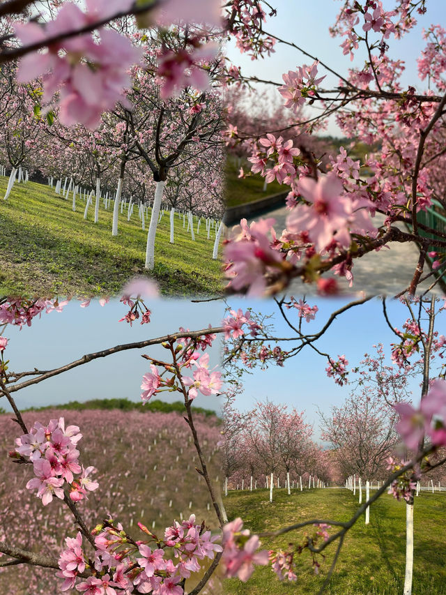 雲浮，廣東隱世嘅仙境！嚟呢5個地方邂逅山水詩意