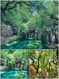 喺昆明玩咗3日，我嘅消費觀崩塌咗