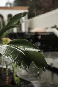 三宅一界，微隱居好愜意！