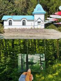 伊春避暑秘笈20℃森系治癒