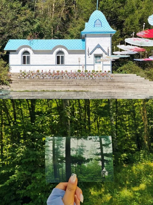 伊春避暑秘笈20℃森系治癒