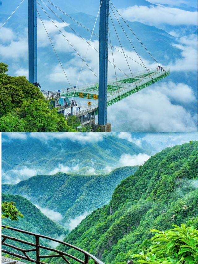 竹海雲間，浙裡撒歡安吉～盛夏好去處