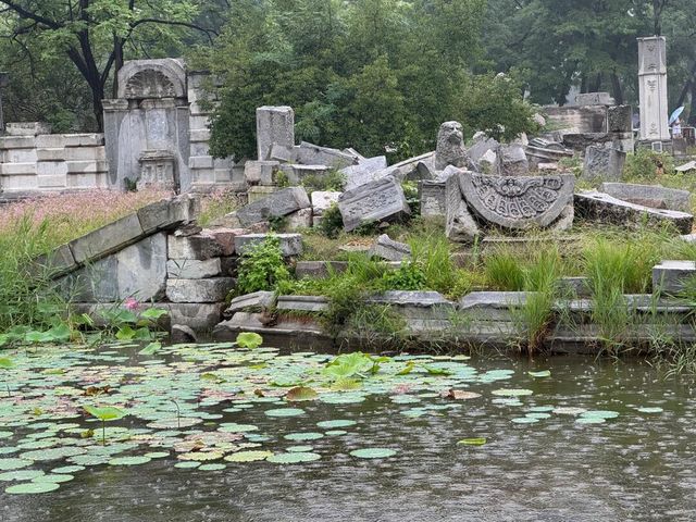 雨中圓明園：歷史與自然的私語