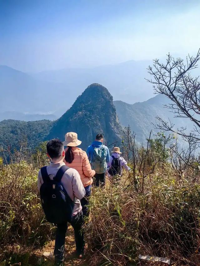 雞枕山：花崗岩森林嘅階梯呼吸術