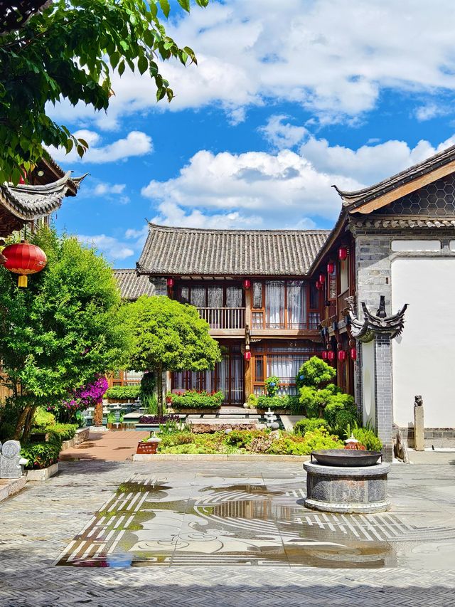 麗江私藏秘境！徒步1小時闖入「七號樹」原始森林美到失語