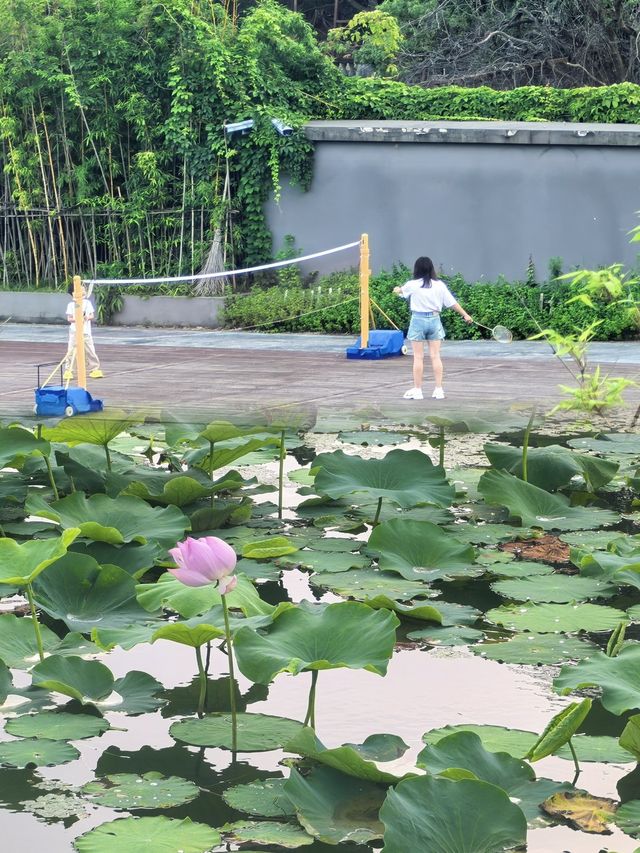 上海周邊避暑天花板！太湖的烏托邦度假村