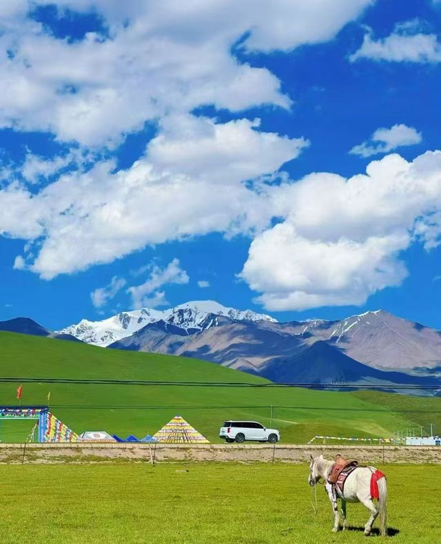 祁連山大草原 | 夏日避暑天堂，超全旅行指南（建議收藏）