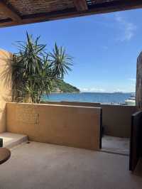 放棄咗蘇梅島，嚟到深圳苫也柚柑灣