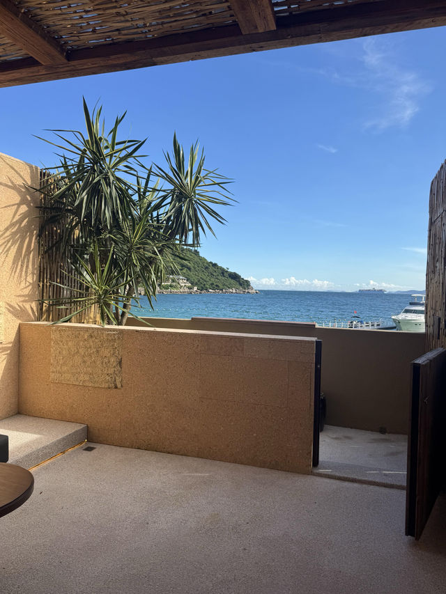 放棄咗蘇梅島，嚟到深圳苫也柚柑灣