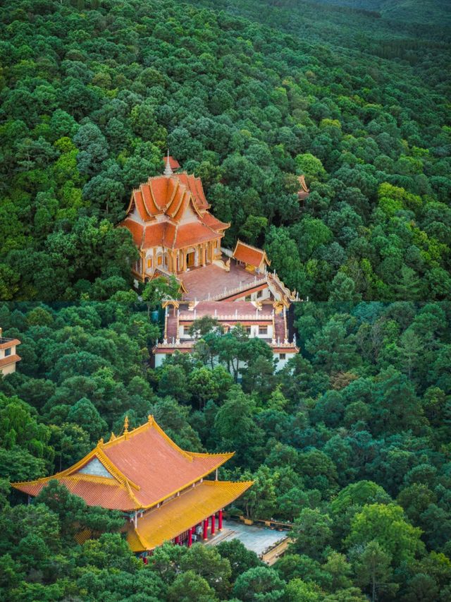 昆明旁邊，有座南傳佛寺隱藏喺樹林之中