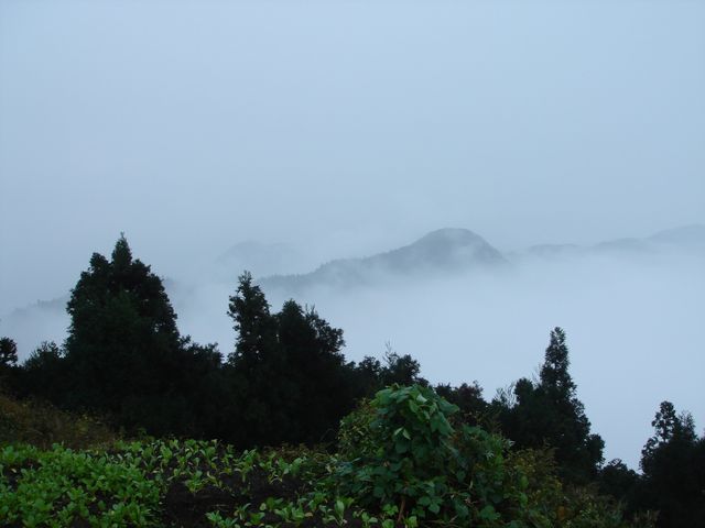 衡山