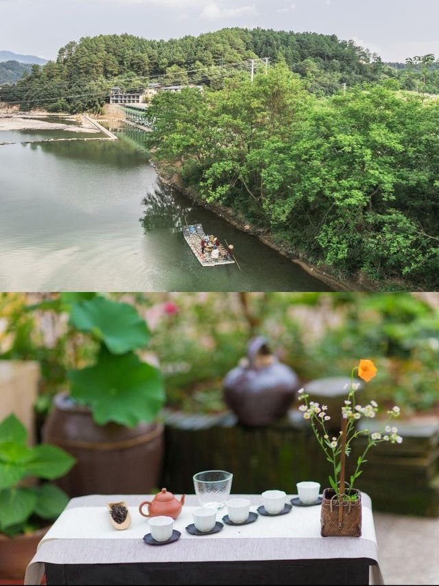 武夷隱居，茶香伴你入夢來