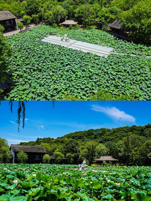 開蚌暴富捏陶食蟹！小眾紹興遊絕了