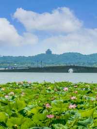 西湖嘅夏天真係正到爆