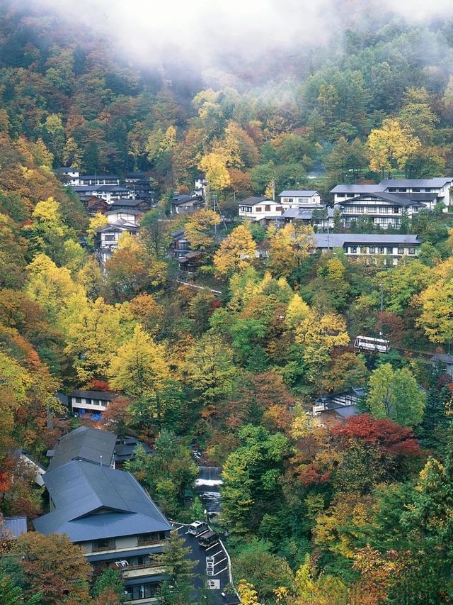 日本長野白馬村｜唔滑雪都玩到癲嘅秘境