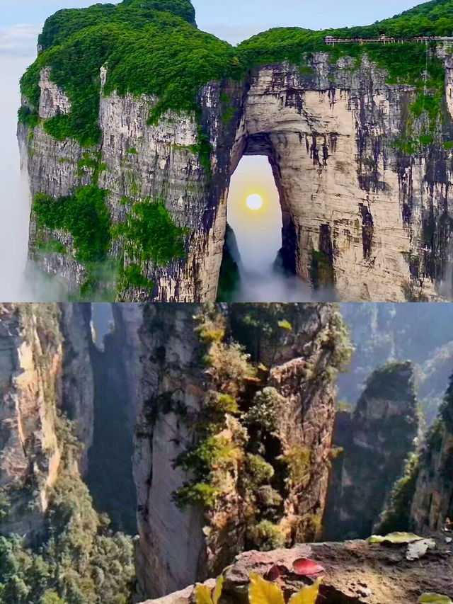 天門山雲海奇觀！張家界必打卡嘅仙境之旅