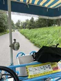 Nanyuan Forest Wetland Park in Beijing! 