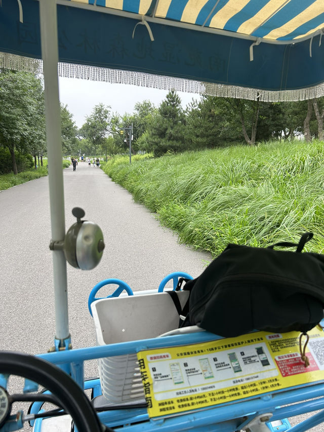Nanyuan Forest Wetland Park in Beijing! 