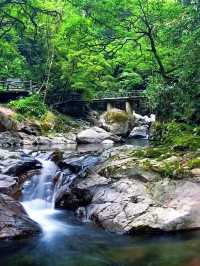遂昌山中避暑遊玩好去處