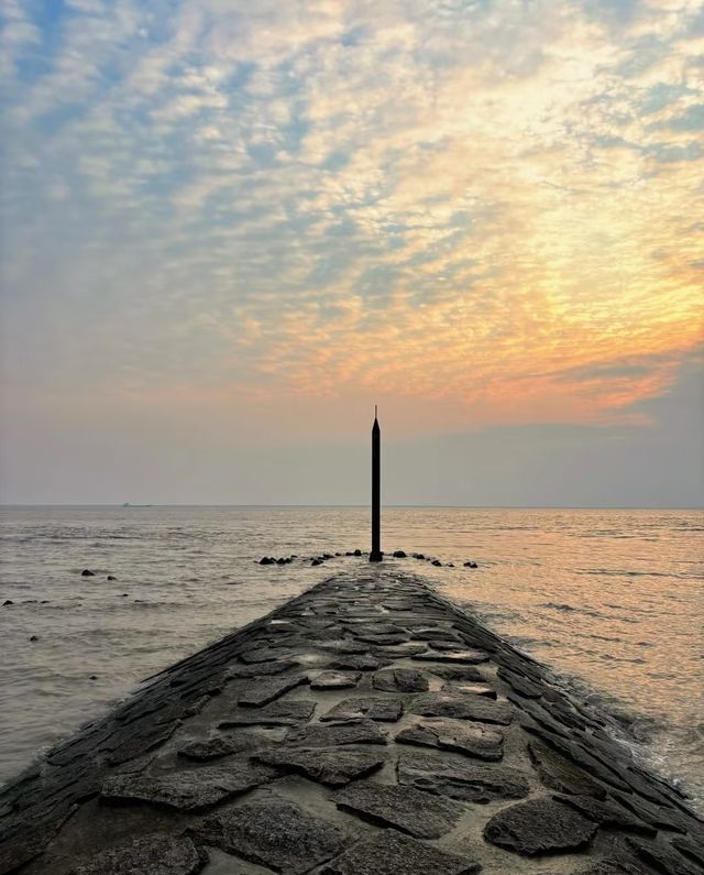 上海崇明！好似跌入南法嘅夏日！靚到喊
