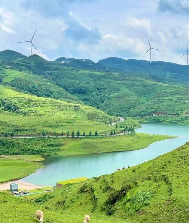 19℃的雲端秘境！六盤水4天3晚深度遊：草原佛光、火把狂歡、峽谷奇觀全收錄！ 北緯26°的天然