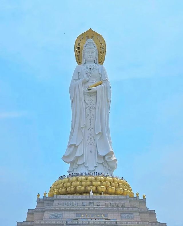 又到咗一年一度同藍色相見嘅時候