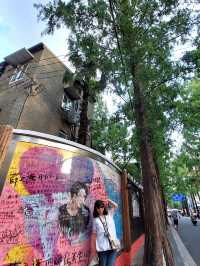 ✨《倘若時光有一道門，我想住進多倫多》