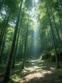 救命！莫干山呢8個隱藏玩法先係神仙體驗