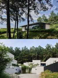 住進松海裡的Villa！呢趟湖州之旅真係太治癒