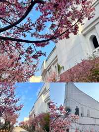 福建夏日必遊攻略