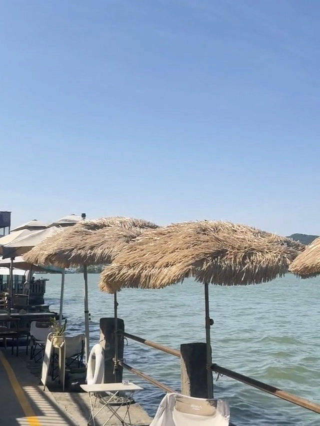 寧波東錢湖彷彿到了國外，是小加州