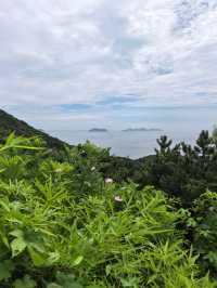 海之韻公園 棒棰島 環境超級好