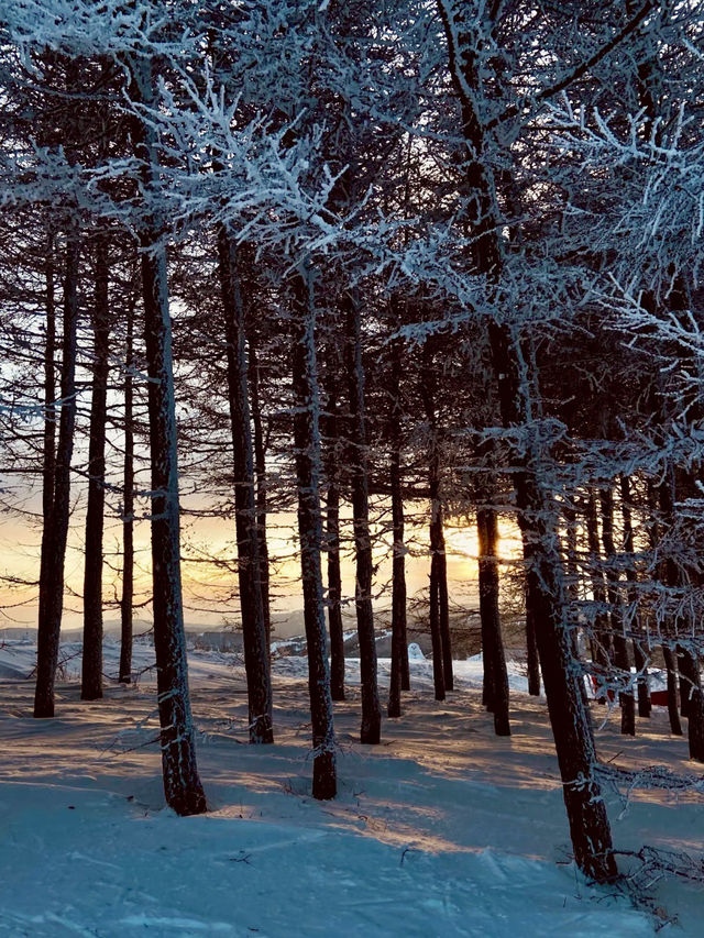 風馳雪舞的自由 —— 萬龍滑雪場
