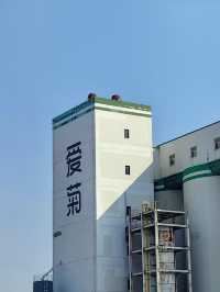 清心慢旅，愛菊健康文化體驗園的自然之語