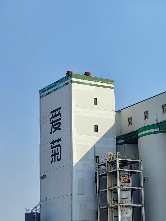 清心慢旅，愛菊健康文化體驗園的自然之語