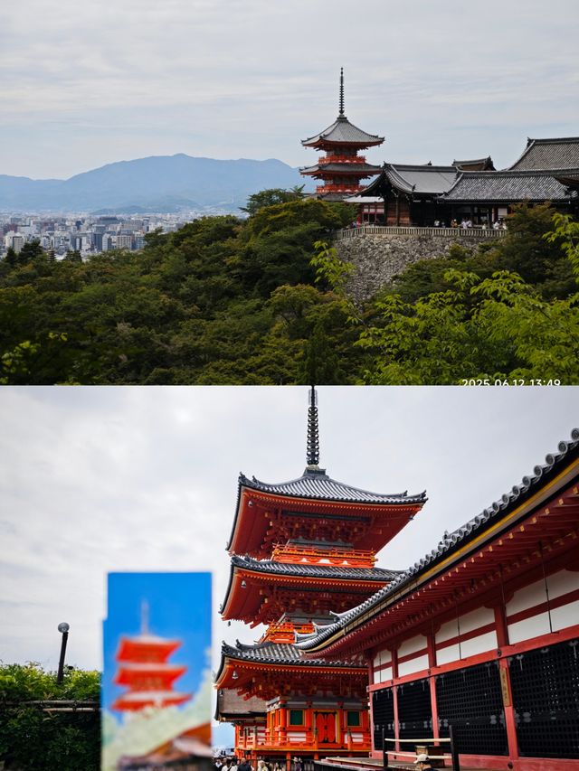 6月日本京都，奈良，名古屋，大阪6日